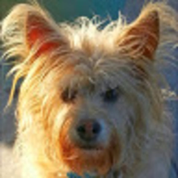 Meet your Posher, Toni - Picture 1 of 1